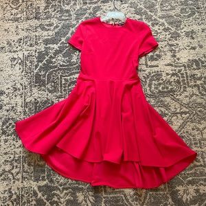 EXPRESS Flowy Dress